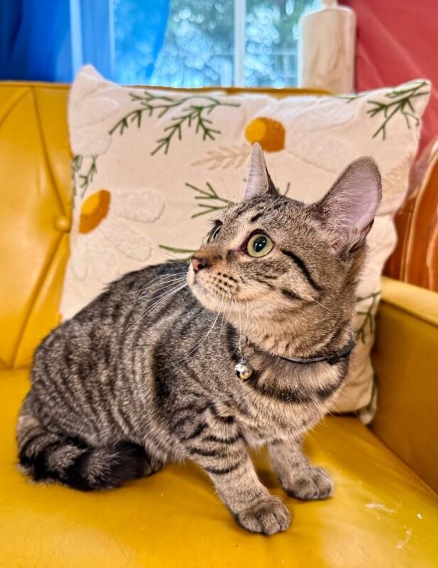 Queens New York — thumbnail 4