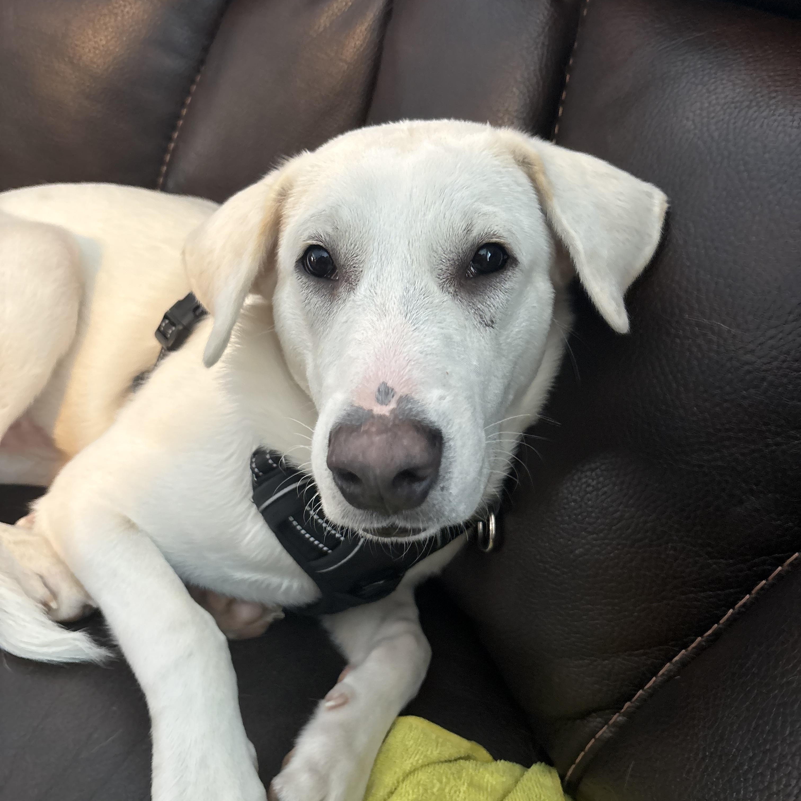 Einstein thumbnail 4