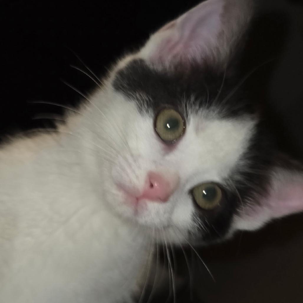 Caroline thumbnail 3