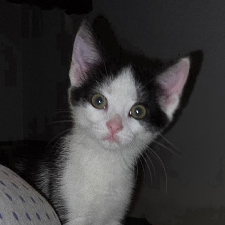 Caroline thumbnail 4