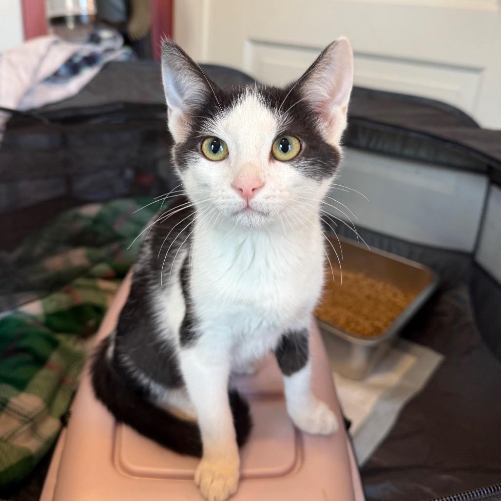 Caroline thumbnail 5