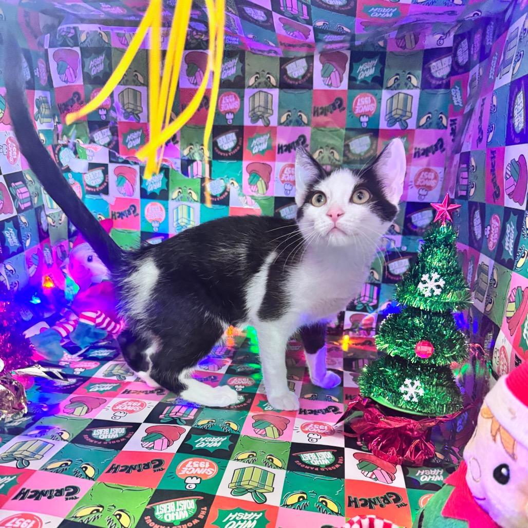 Caroline thumbnail 6