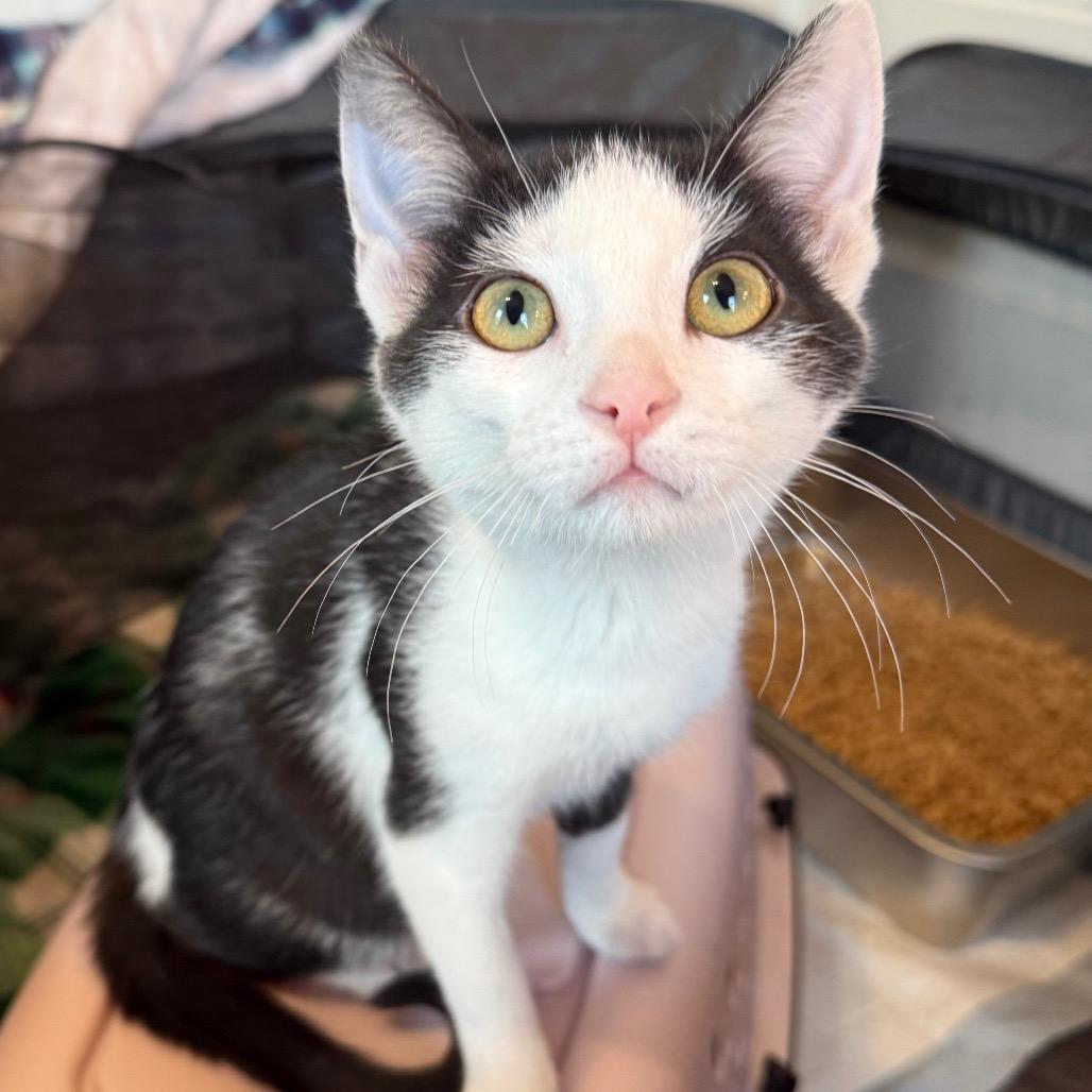 Caroline thumbnail 7