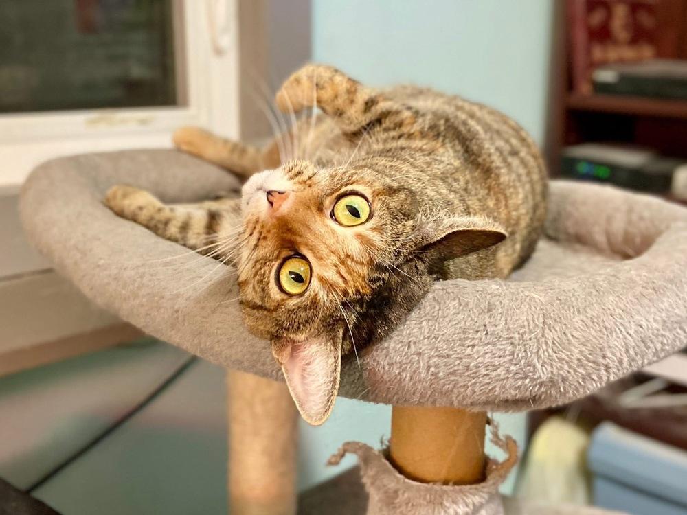 Valerie AKA Bella — thumbnail 2