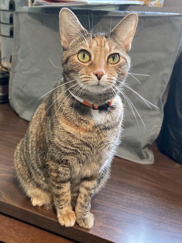 Valerie AKA Bella — thumbnail 3