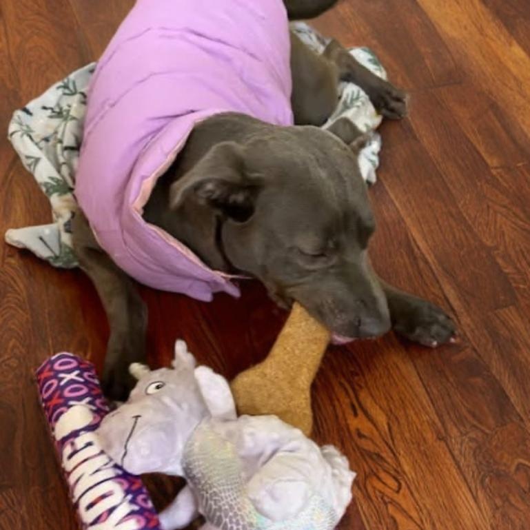 Sylvia — thumbnail 3