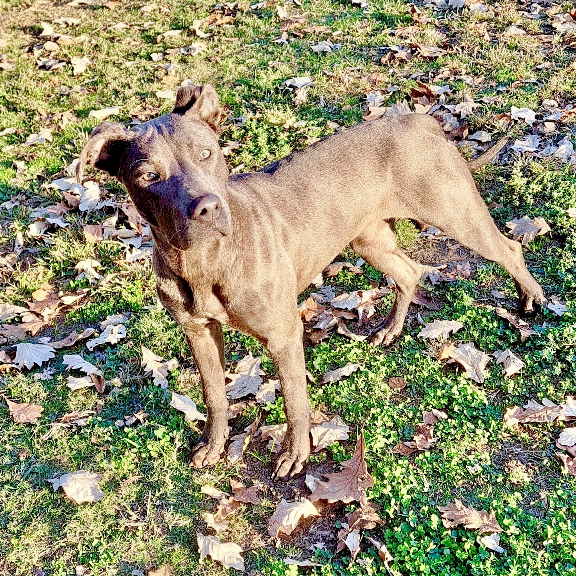 Sylvia — thumbnail 4