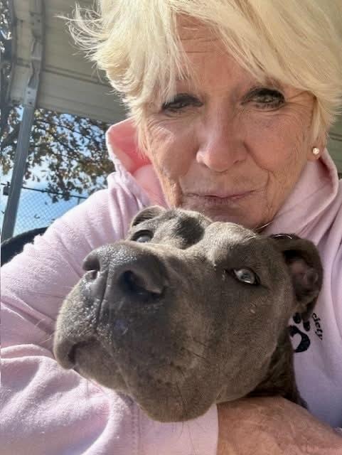 Sylvia — thumbnail 5