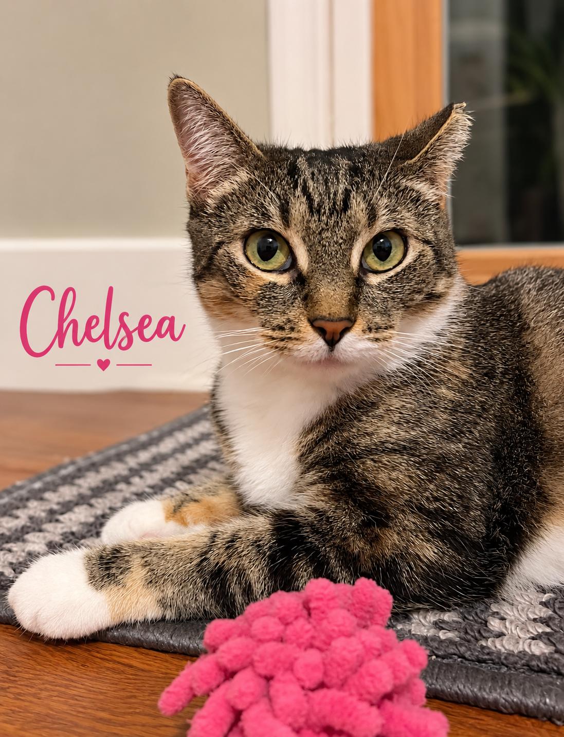 Chelsea, Willow Grove PS (6/10/26-140) photo