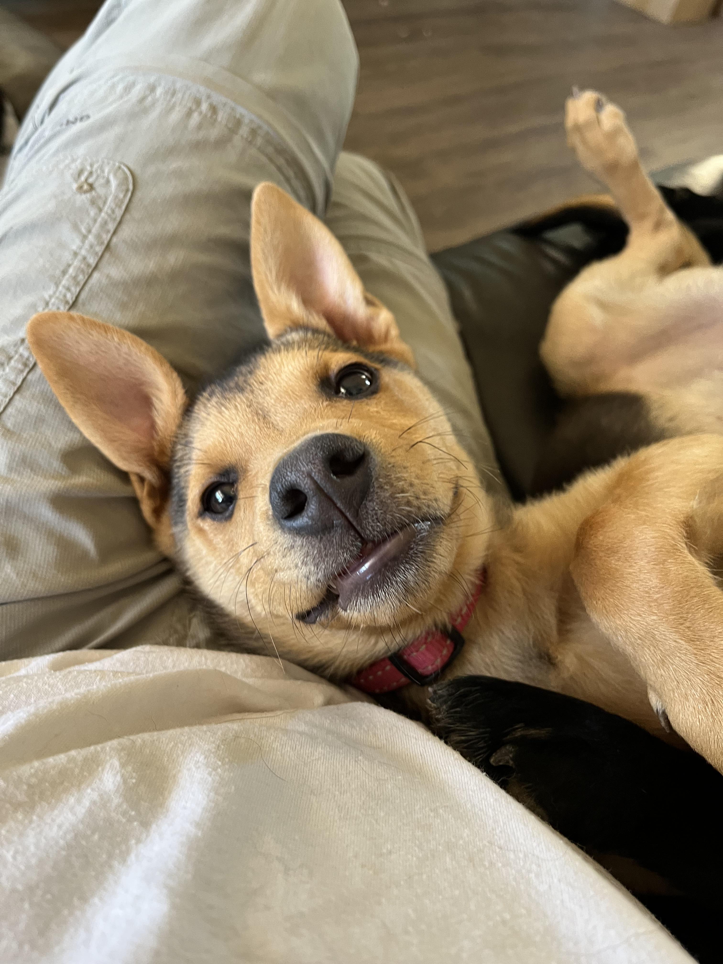 Maggie Mae
