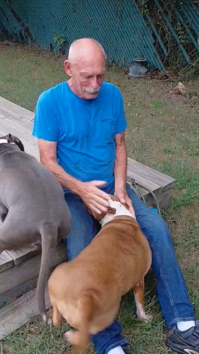 Enlarge SIMONE.....beautiful AND SWEET, a Adoptable mixed breed in Cantonment, FL video 5/6