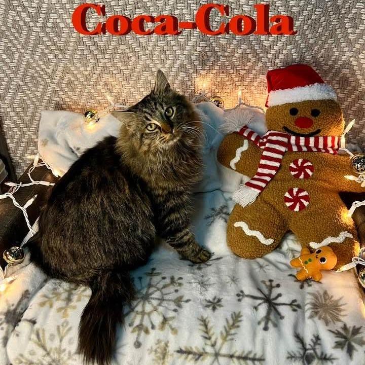 Coca Cola