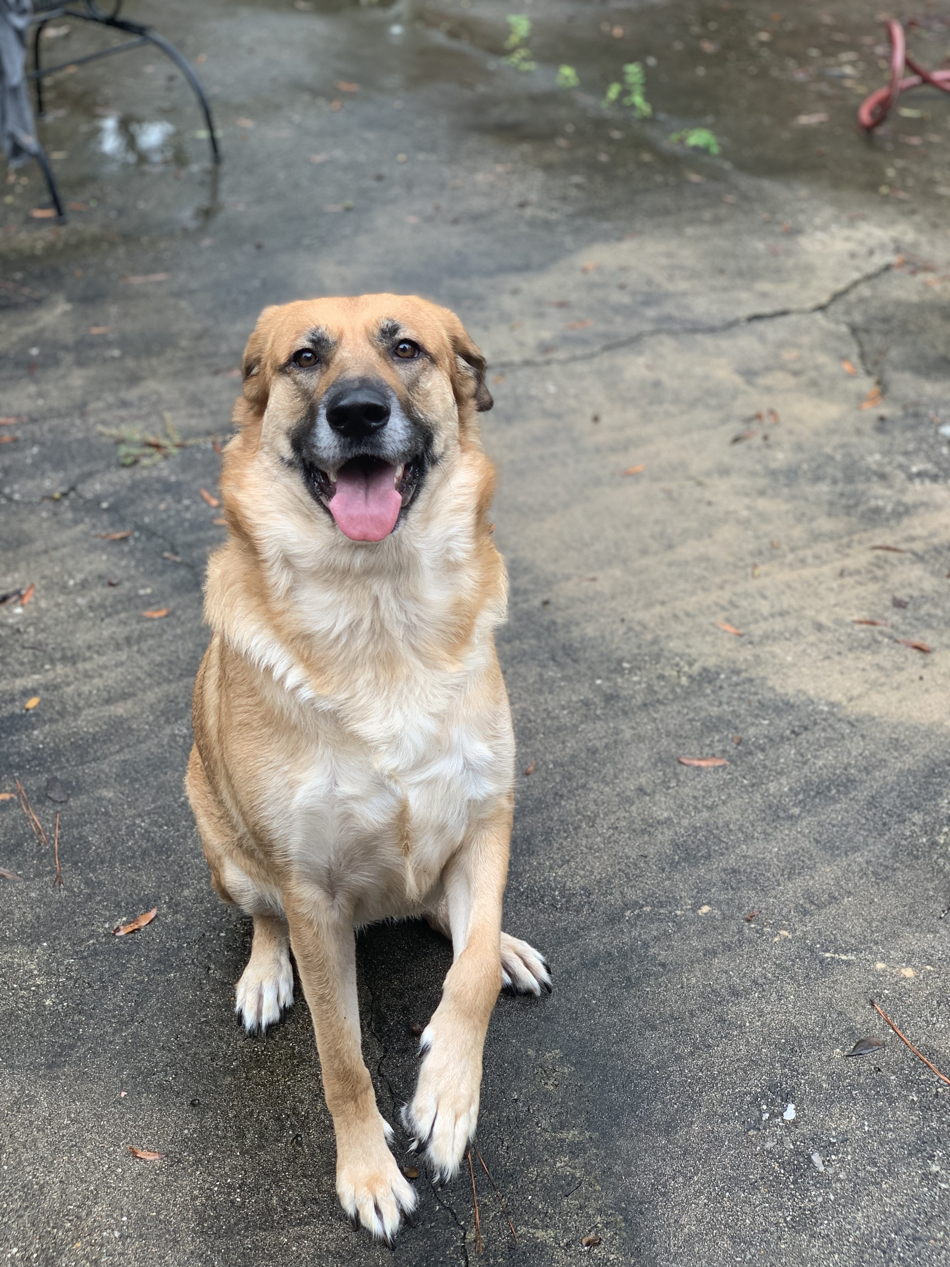SADIE photo 1