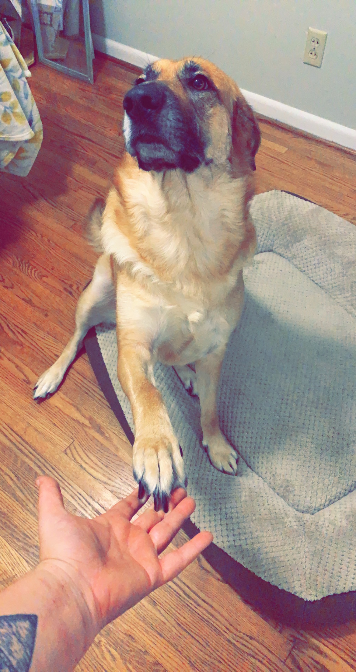 SADIE photo 2