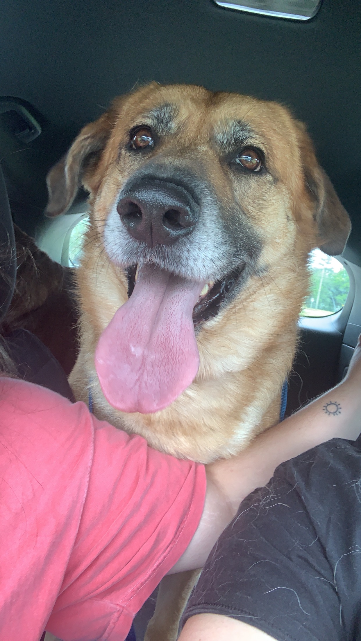 SADIE photo 4