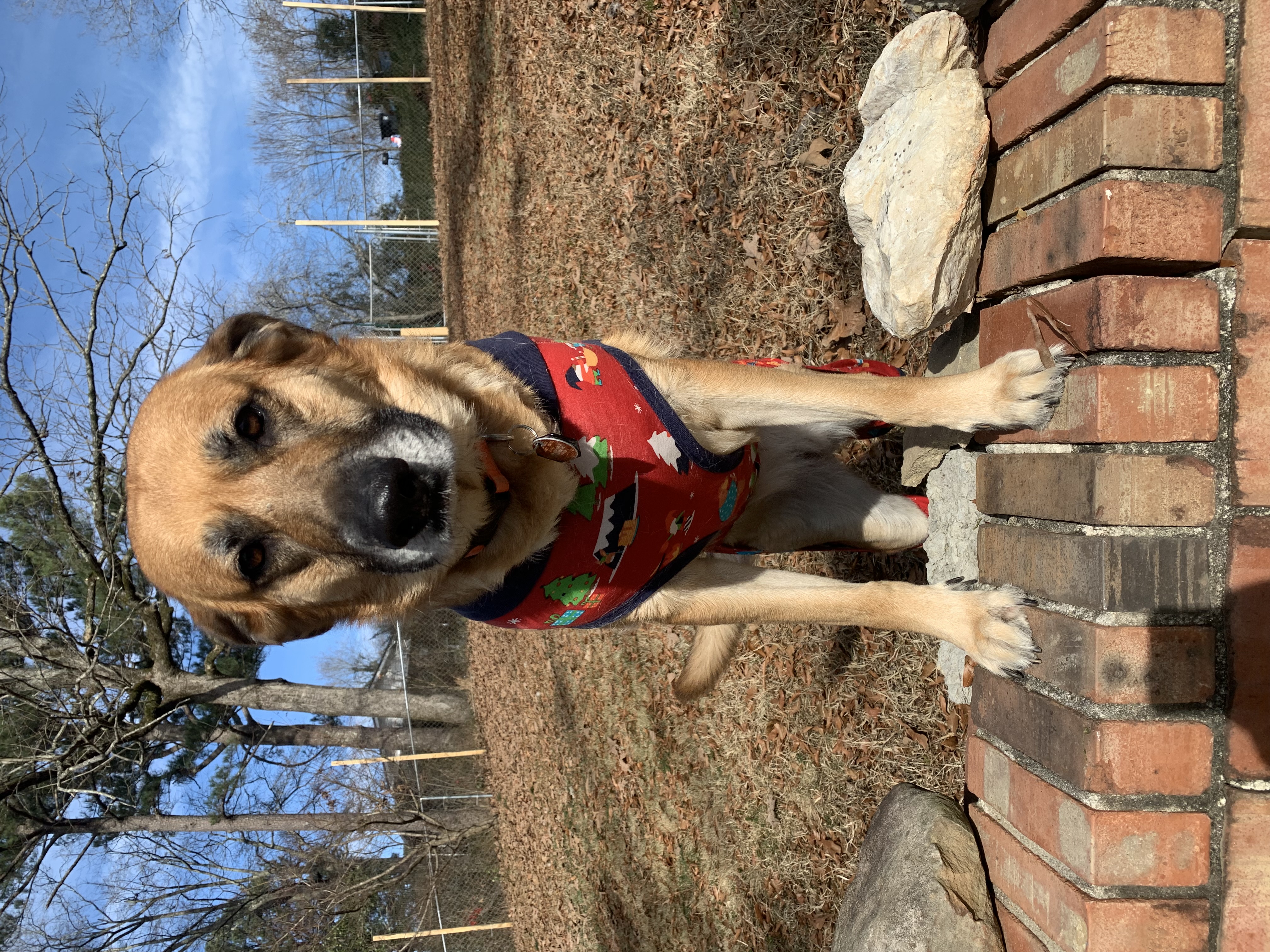 SADIE photo 3