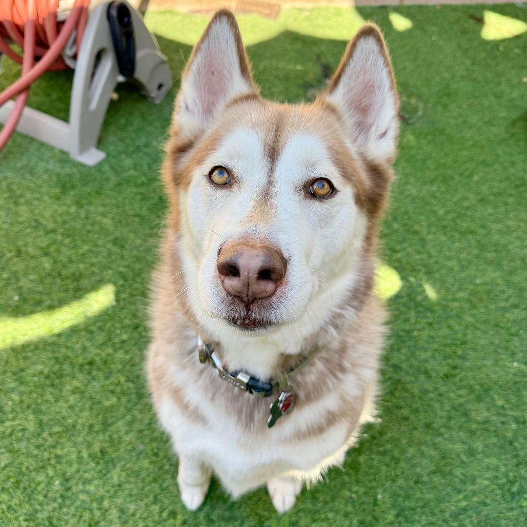 King — thumbnail 4