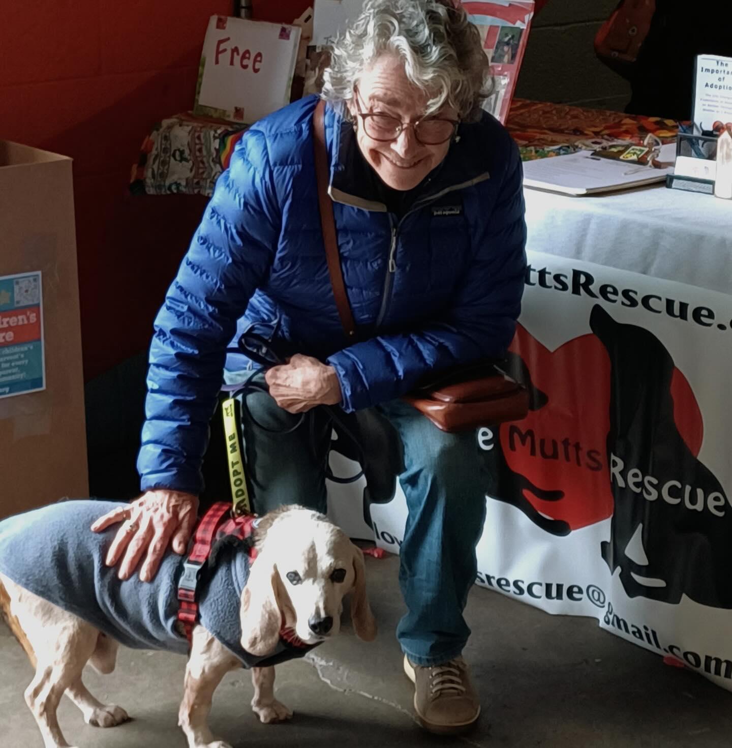 Shadow, a Adoptable Beagle in Raleigh, NC image 4/6