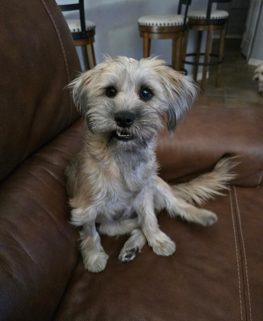 Millie — thumbnail 2