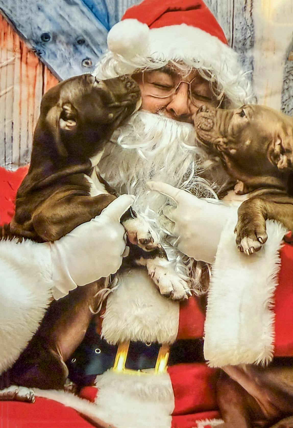 WALLIE - Needs a foster/forever Home! — thumbnail 3