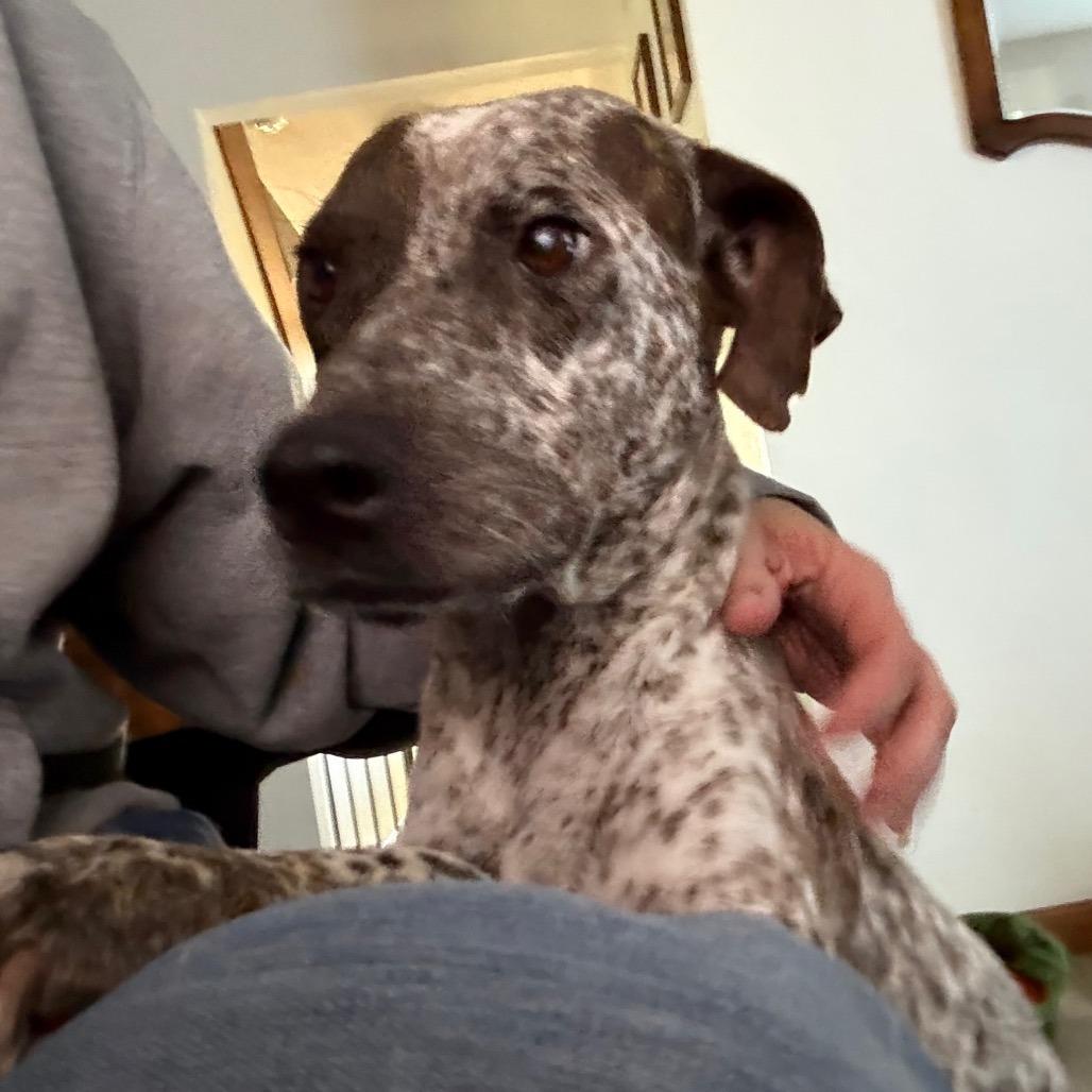 Sweet Caroline thumbnail 3