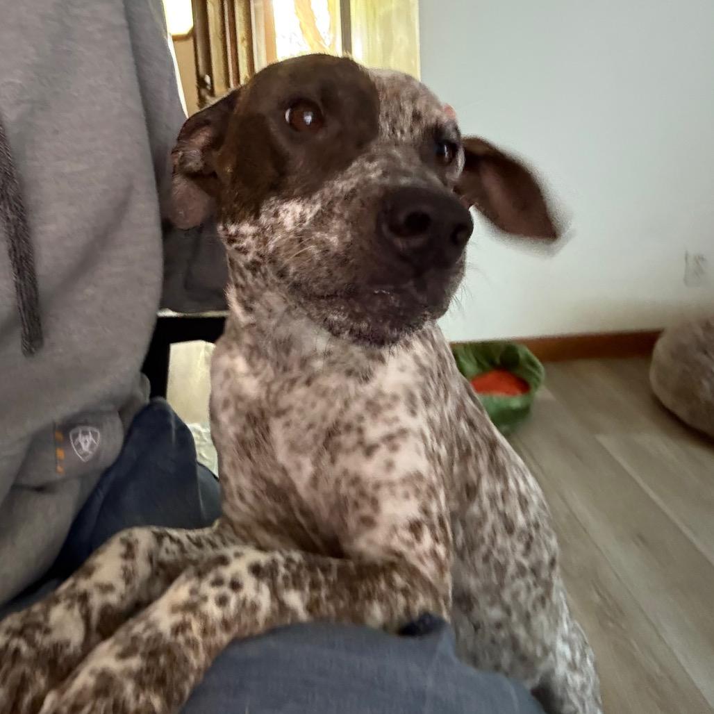 Sweet Caroline thumbnail 5