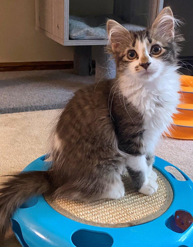 Charlotte and Sterling