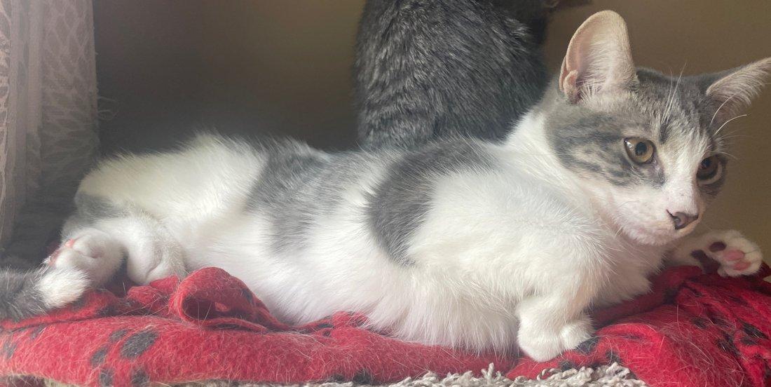 Charlotte and Sterling