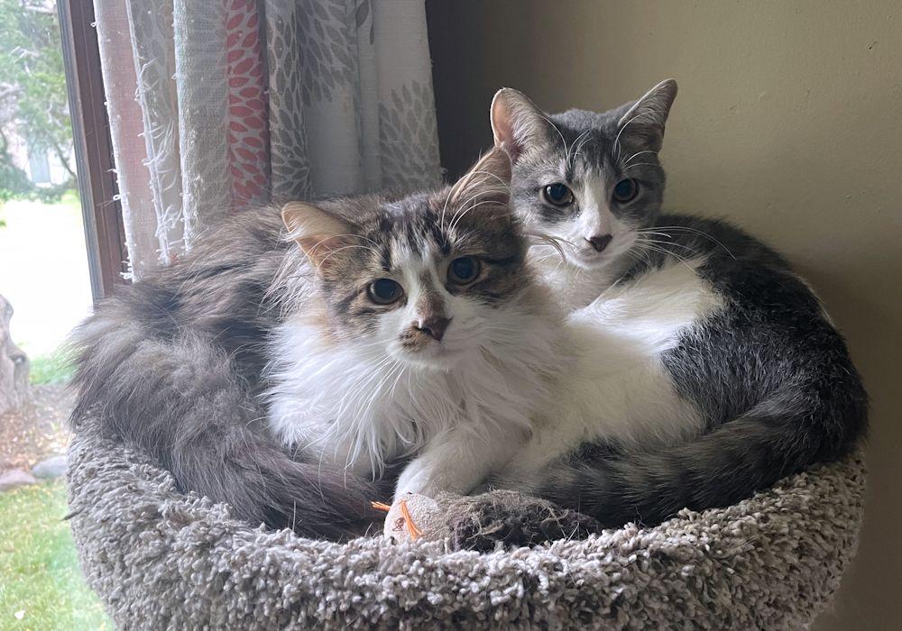 Charlotte and Sterling