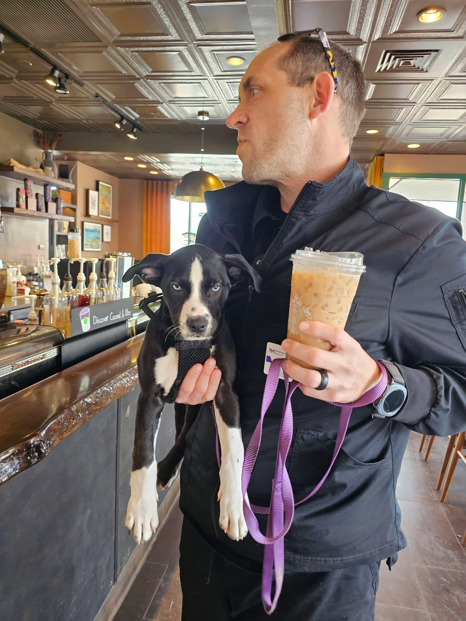 Enlarge Bluebell, a Adoptable mixed breed in Crystal Lake, IL image 3/6