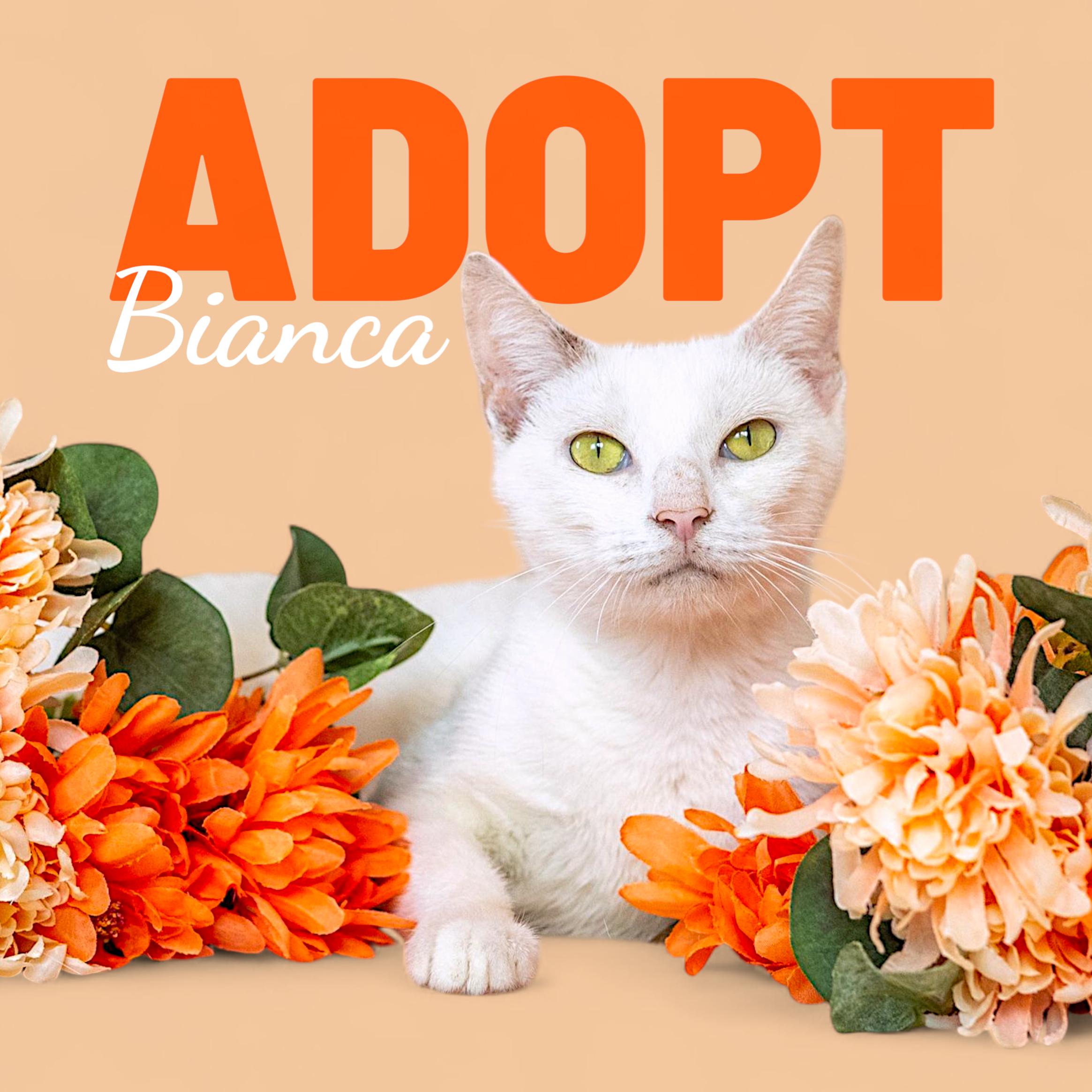 Bianca thumbnail 4