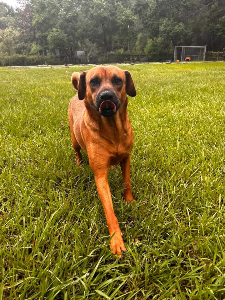 Brandi photo 5