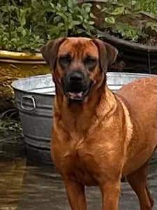 Brandi photo 6