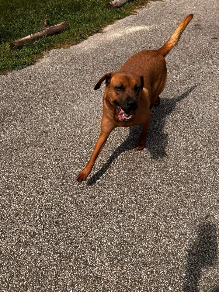 Brandi photo 4