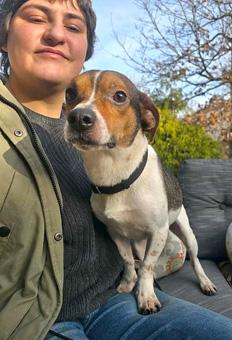 Enlarge Ash, a ADOPTABLE mixed breed in Canterbury, CT image 6/6