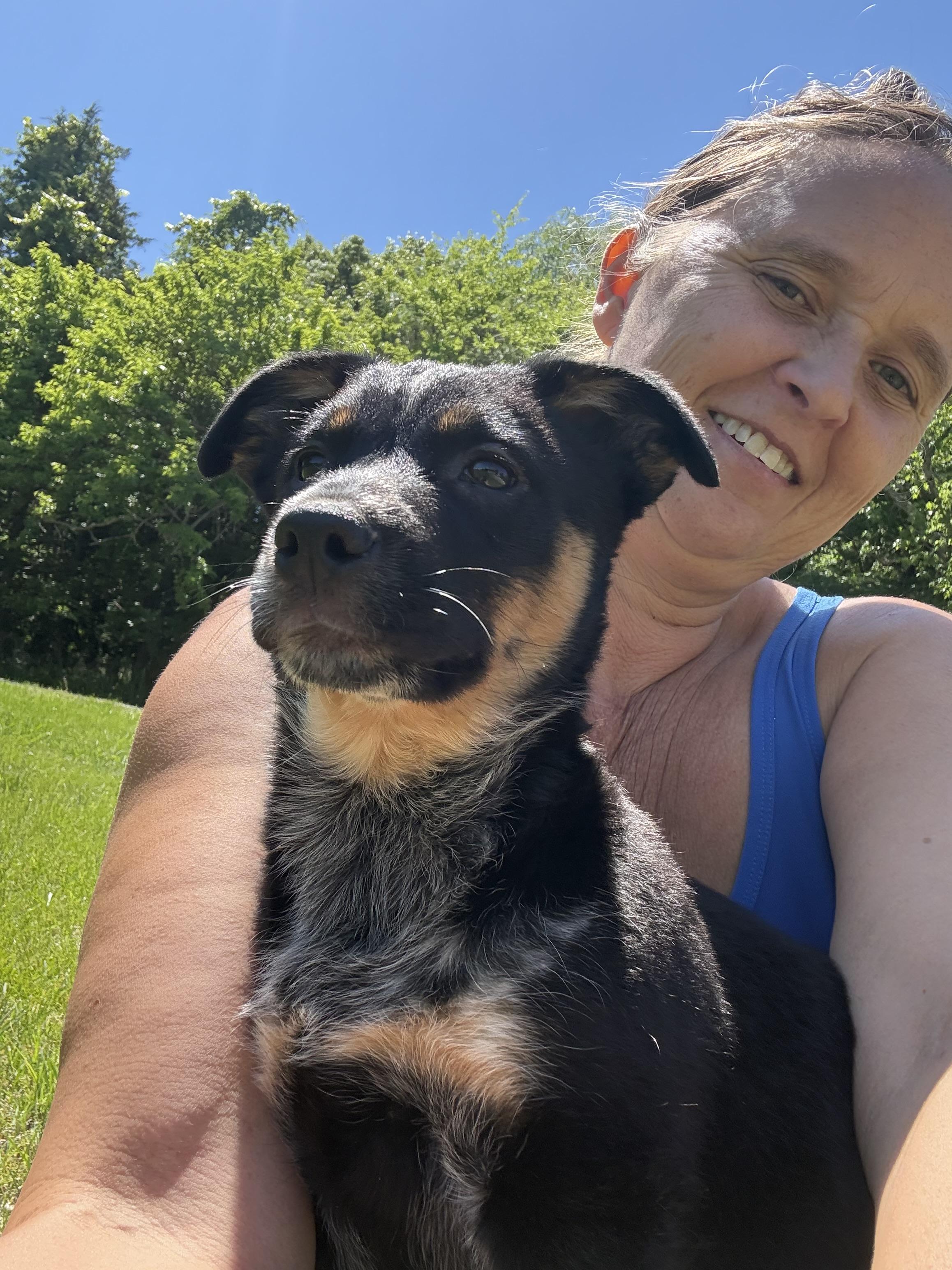 Enlarge Zaza, a ADOPTABLE Australian Cattle Dog / Blue Heeler in Eagleville, TN image 2/2