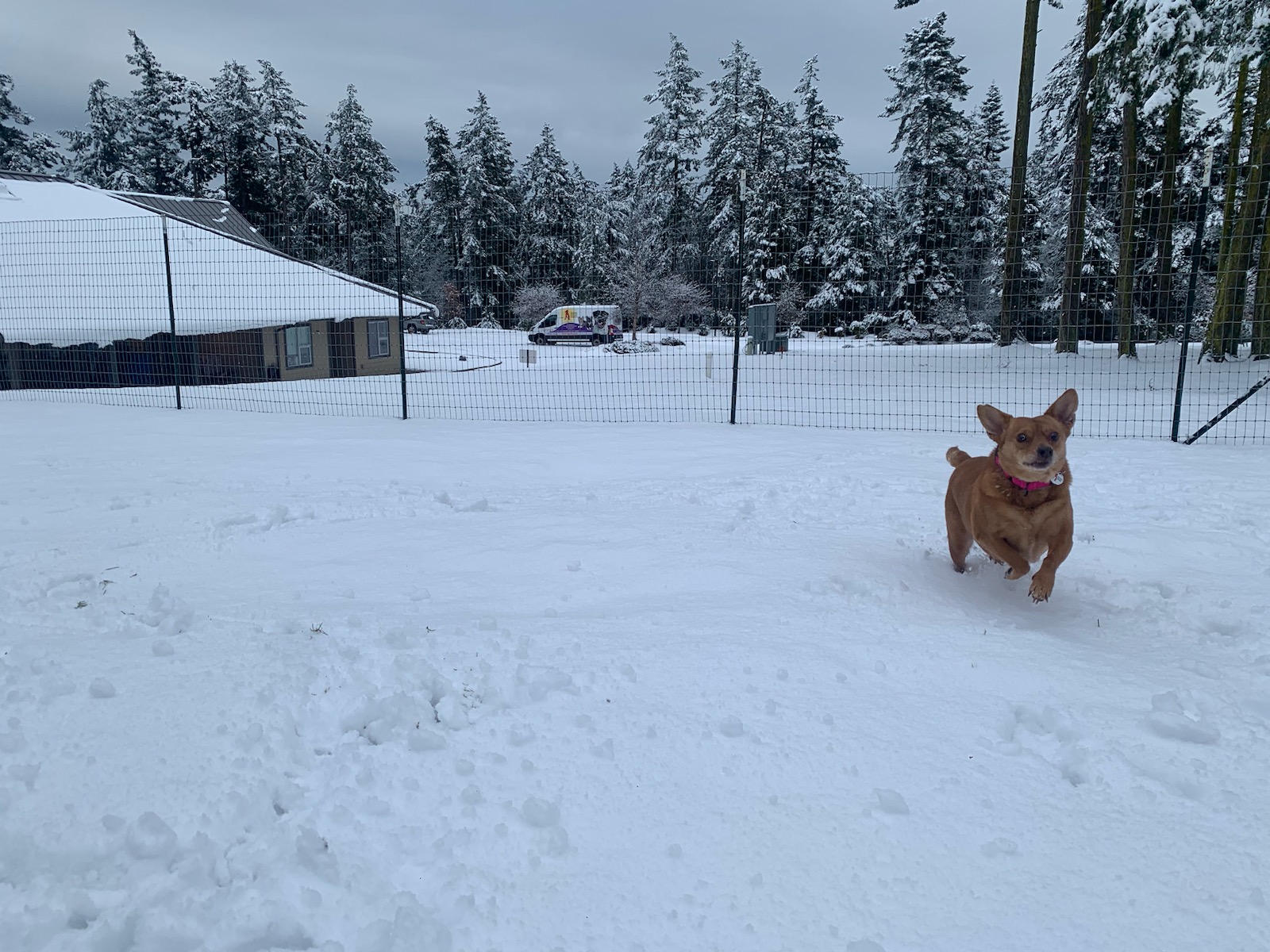 Libby photo 5