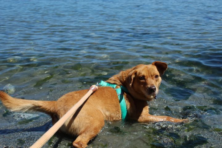 Libby photo 3