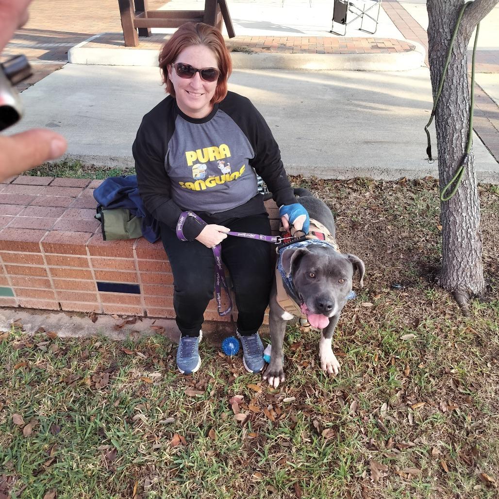 Volkswagen — thumbnail 3