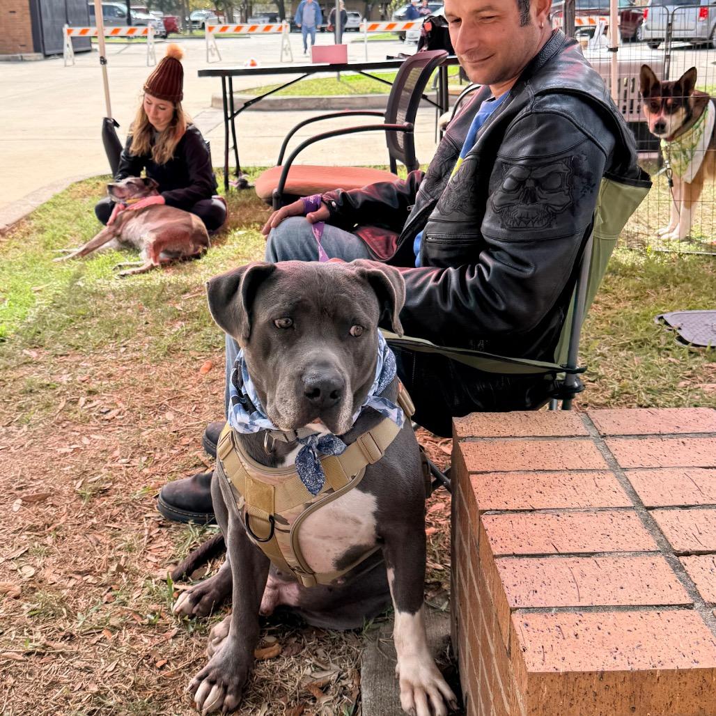 Volkswagen — thumbnail 4