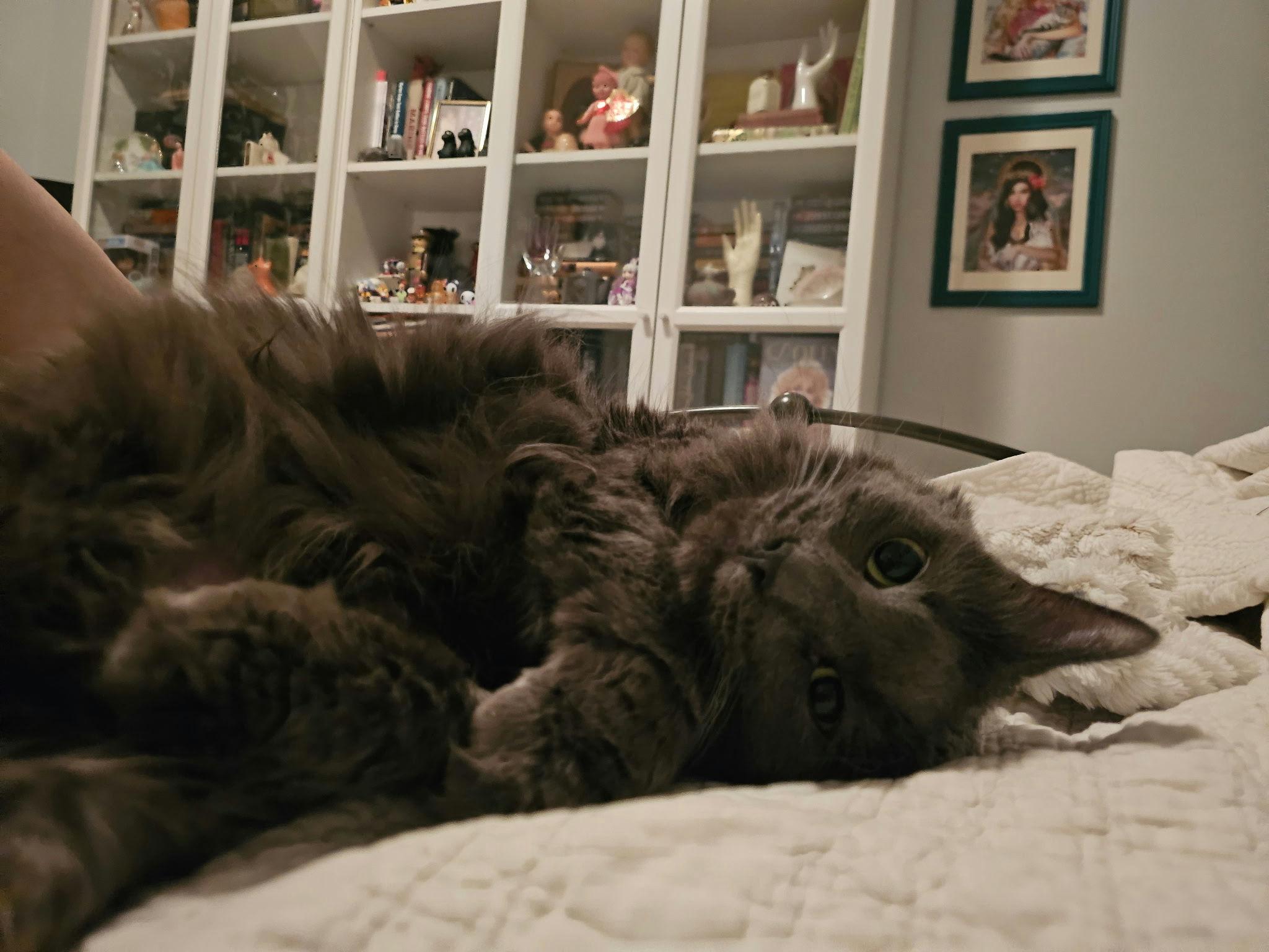 Cheeseburger thumbnail 3