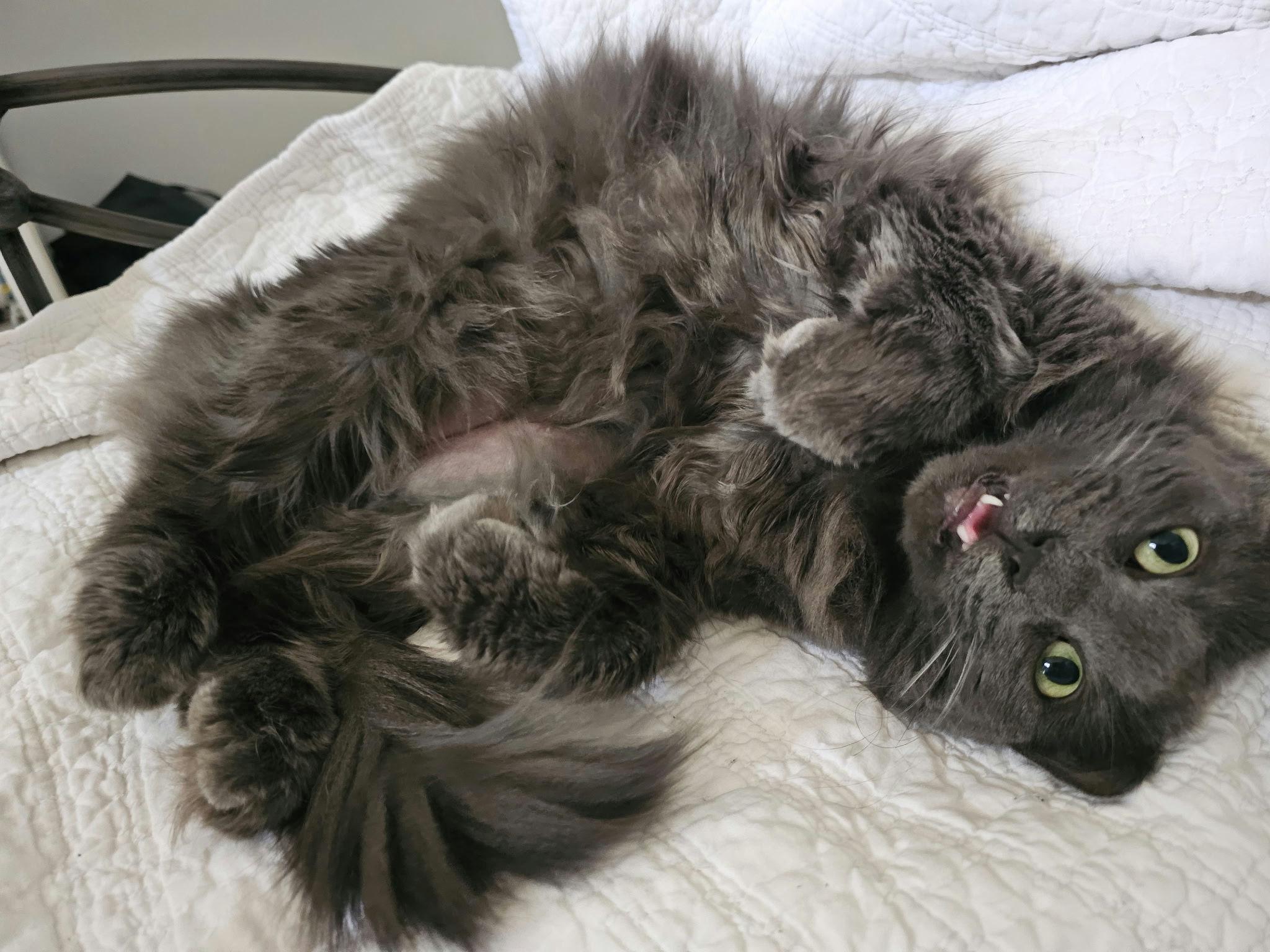 Cheeseburger thumbnail 6