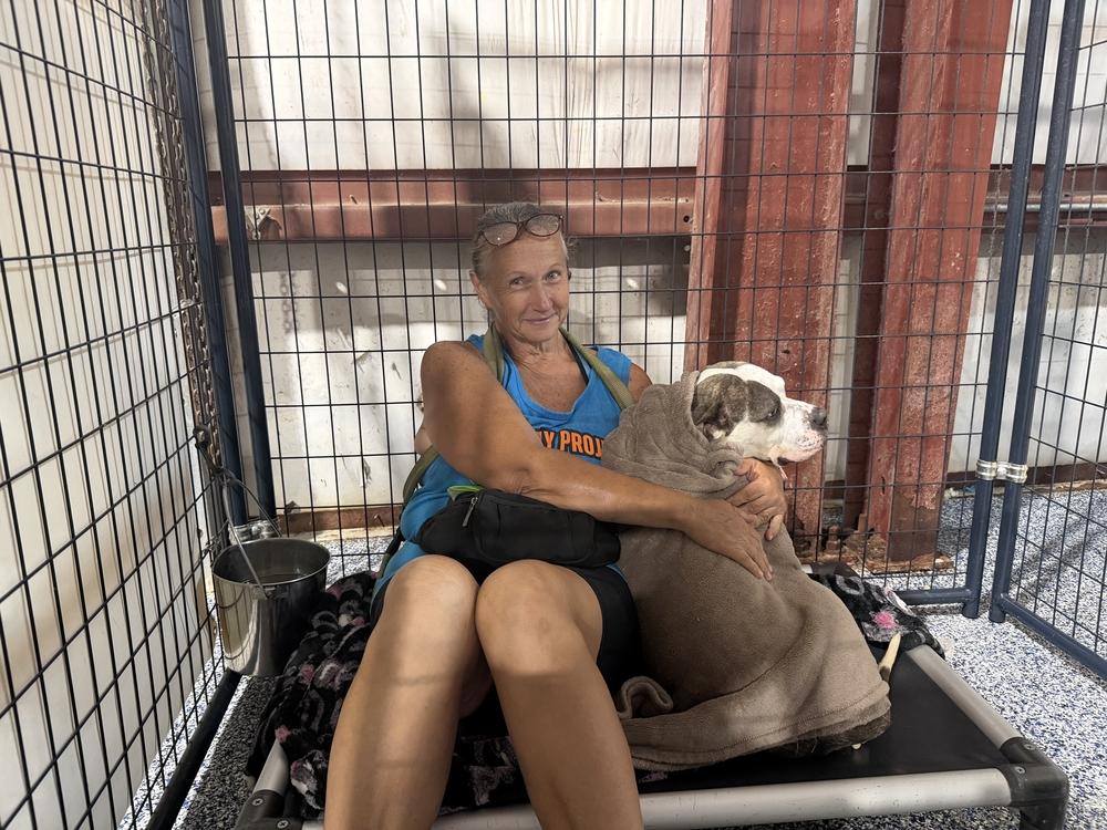 Enlarge Sassy, a Adoptable mixed breed in Lakeland, FL image 5/6