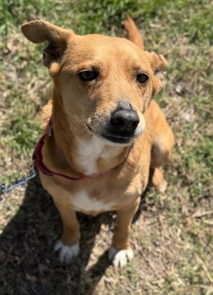 Yolanda — thumbnail 2