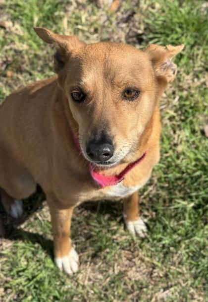 Yolanda — thumbnail 3