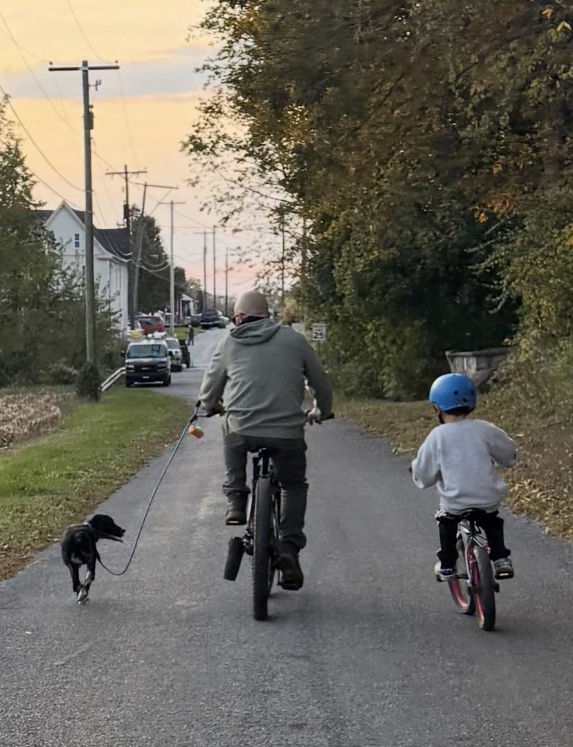 Judd, a ADOPTABLE mixed breed in Philadelphia, PA image 2/6