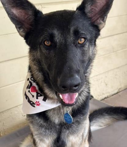 Pumpkin -- URGENT!!! OUT OF TIME!!!