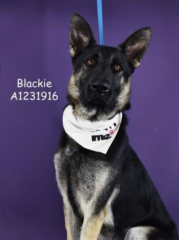 Pumpkin -- URGENT!!! OUT OF TIME!!!