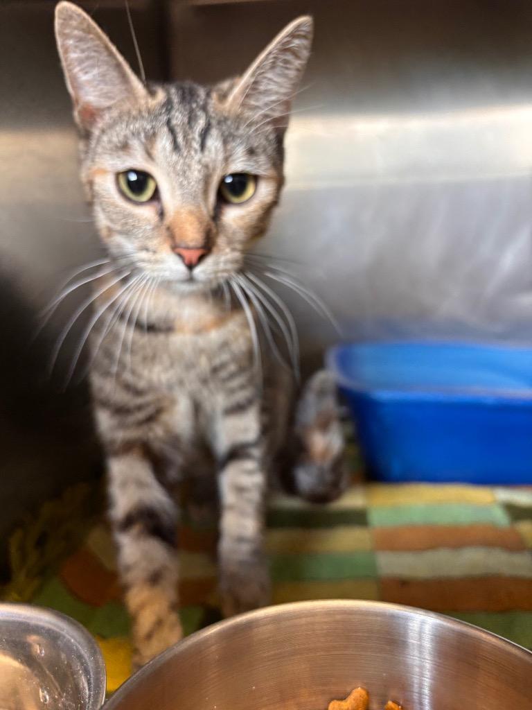 Puma Thurman thumbnail 2