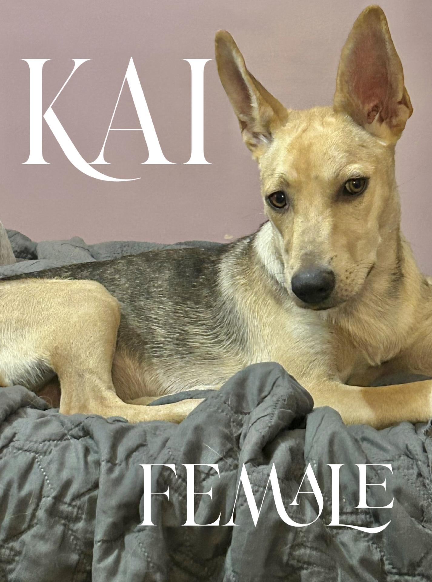 Kai